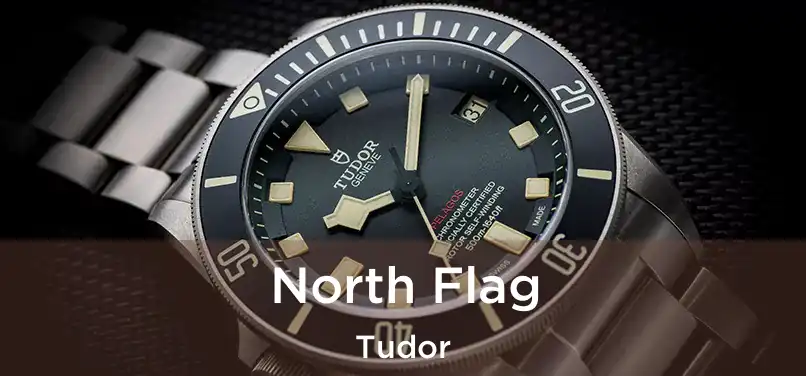  North Flag Tudor