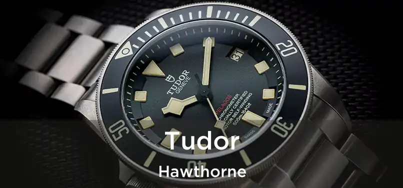  Tudor Hawthorne